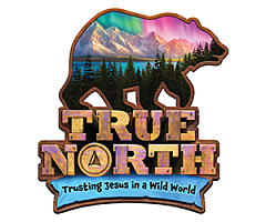 True North